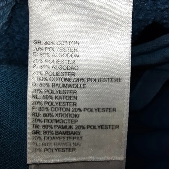 The North Face Blue Graphic Pull-over Hoodie SZ L - Picture 7 of 11